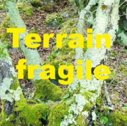 Terrain Fragile