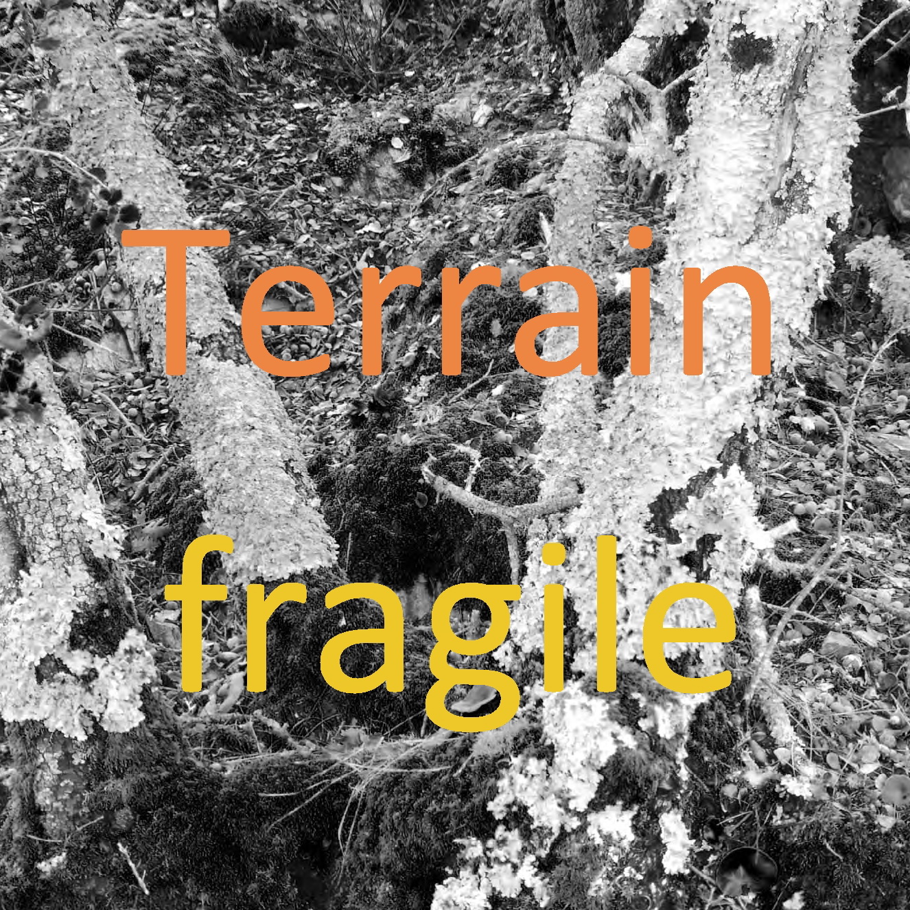 Terrain Fragile
